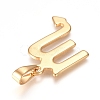 304 Stainless Steel Pendants STAS-L210-06G-G-2