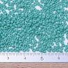 MIYUKI Round Rocailles Beads SEED-X0054-RR0412-4