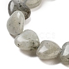 Natural Labradorite Beads Strands G-B022-32C-3