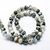Natural Tree Agate Beads Strands X-G-I199-03-10mm-3