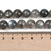 Natural Labradorite Beads Strands G-Z133-A01-10mm-02-5