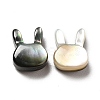 Natural Black Lip Shell Beads SHEL-G014-06A-3