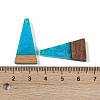 Resin & Wood Pendants WOOD-F015-03D-3