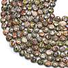 Natural Leopard Skin Jasper Beads Strands G-K389-B17-01-3