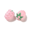 Handmade Lampwork Beads Strands LAMP-G162-05H-3