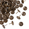 Iron Nails IFIN-GA0001-11-1