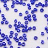 6/0 Glass Seed Beads X-SEED-J014-F6-48-3