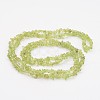 Peridot Gemstone Beads X-F045-2