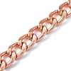 Iron Curban Chain Bag Extender Chain FIND-WH0112-39RG-2