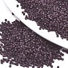 FGB 11/0 Grade A Glass Seed Beads SEED-S030-1015-1