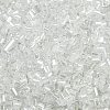 Two Cut Glass Seed Beads X-CSDB101-1