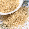 MIYUKI Round Rocailles Beads X-SEED-G007-RR0552-1