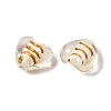 Transparent Handmade Silver Foil Glass Lampwork Beads LA-CBA9CDE-02-2