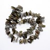 Labradorite Beads Strands G-O051-08-2