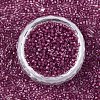 FGB 11/0 Grade A Baking Paint Glass Seed Beads SEED-S030-1147-3