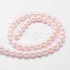 Shell Pearl Bead Strands X-BSHE-L025-06-8mm-3