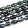 Natural Kambaba Jasper Beads Strands G-M206-17-1