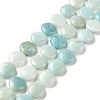 Natural Amazonite Beads Strands G-C238-09-2