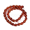 Natural Carnelian Beads Strands G-NH0019-C01-02-2