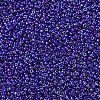 MIYUKI Round Rocailles Beads X-SEED-G007-RR0484-2