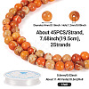 DIY Natural Regalite/Imperial Jasper/Sea Sediment Jasper Beads Bracelets  Making KIts DIY-TA0002-69B-4