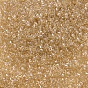 MIYUKI Delica Beads X-SEED-J020-DB0101-3