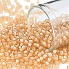 TOHO 8/0 Round Beads X-SEED-TR08-0391-1