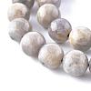 Natural Labradorite Beads Strands X-G-G212-8mm-23-12