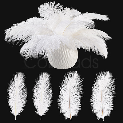 20Pcs 2 Styles Ostrich Feather Costume Accessories FIND-TA0005-96-1