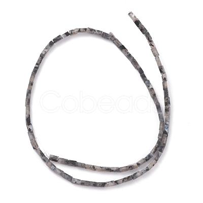 Natural Black Larvikite Bead Strands G-C301-06-1
