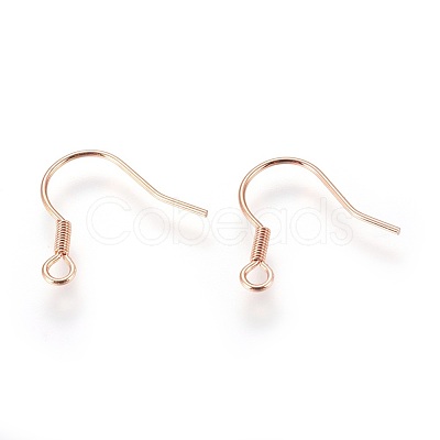 304 Stainless Steel Earrings Hooks STAS-P227-06RG-1