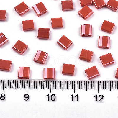FGB 2-Hole Glass Seed Beads SEED-S031-L-ST125-1