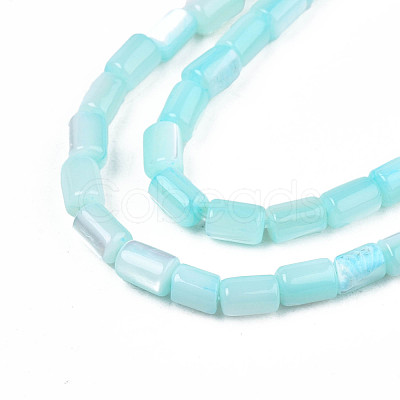 Natural Trochid Shell/Trochus Shell Beads Strands SHEL-N003-26-B09-1