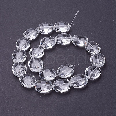 Glass Bead Strands X-GLAA-R196-24x20mm-01-1