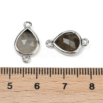 Natural Labradorite Faceted Connector Charms G-L514-048G-05-1