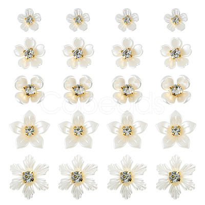 50Pcs 5 Styles Acrylic Cabochons MACR-TA0002-90-1