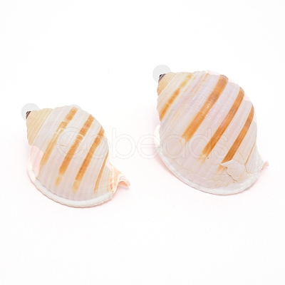 Natural Shell DJEW-WH0010-70-1