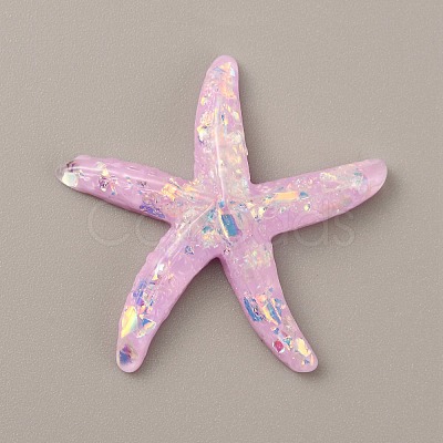 Starfish Translucent Resin Cabochons RESI-WH0028-16E-1