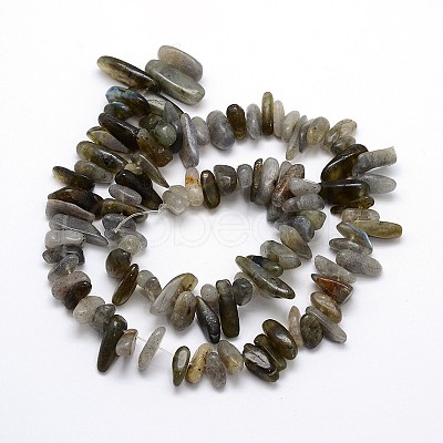 Labradorite Beads Strands G-O051-08-1