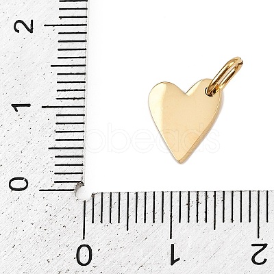 304 Stainless Steel Charms LS-STAS-L291-01G-V-1