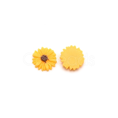 Opaque Resin Cabochons LS-RESI-CJC0011-04A-08-1