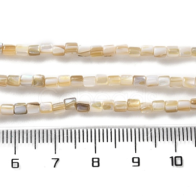 Natural Freshwater Shell Beads Strands X-SSHEL-B002-17-1
