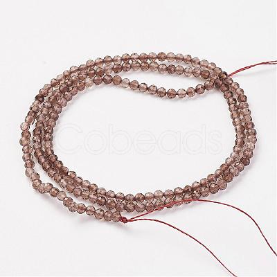 Natural Smoky Quartz Bead Strand G-G680-22-1