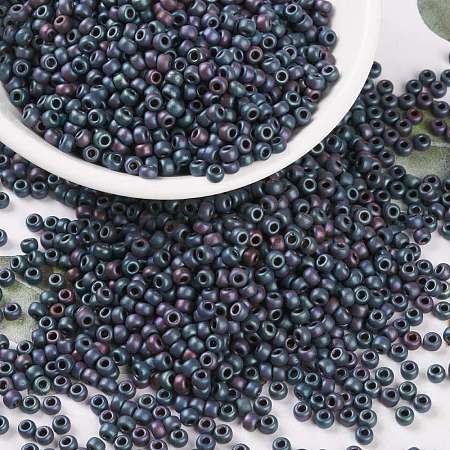 MIYUKI Round Rocailles Beads SEED-X0055-RR2009-1