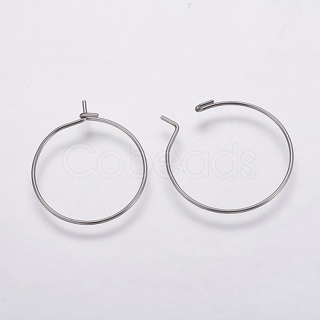 316 Surgical Stainless Steel Hoop Earrings Findings X-STAS-K146-039-20mm-1