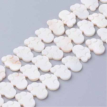 Natural White Shell Beads SSHEL-Q298-07-1