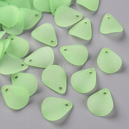Transparent Frosted Acrylic Pendants MACR-S371-09A-733-1