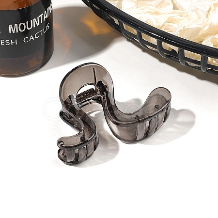 Resin Claw Hair Clips PW-WGB9268-04-1