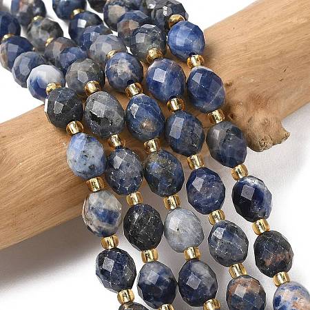Natural Sodalite Beads Strands G-F809-A19-01A-1