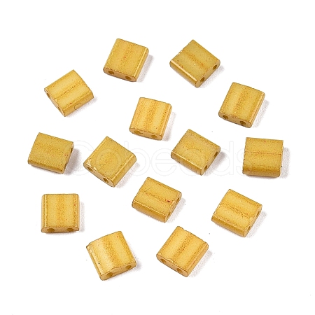 2-Hole Baking Paint Glass Seed Beads SEED-S023-17C-22-1
